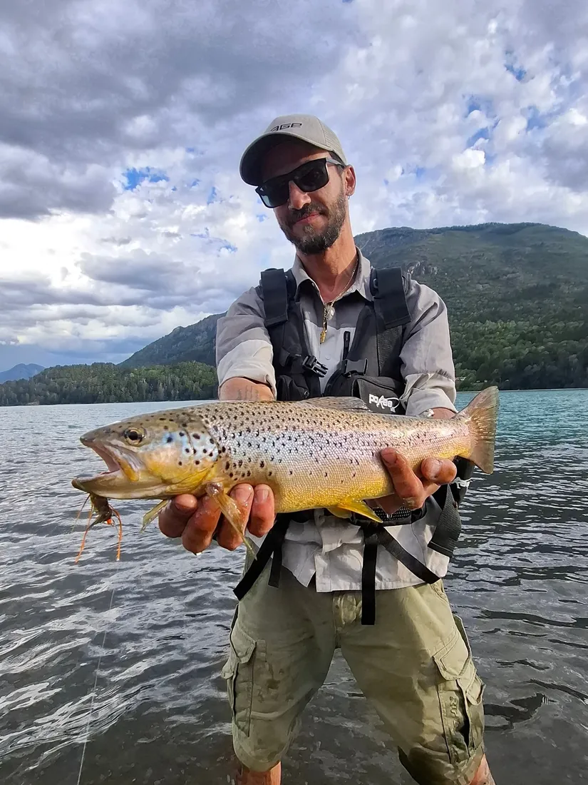 Trucha marrón dorada pescada en el Río Manso