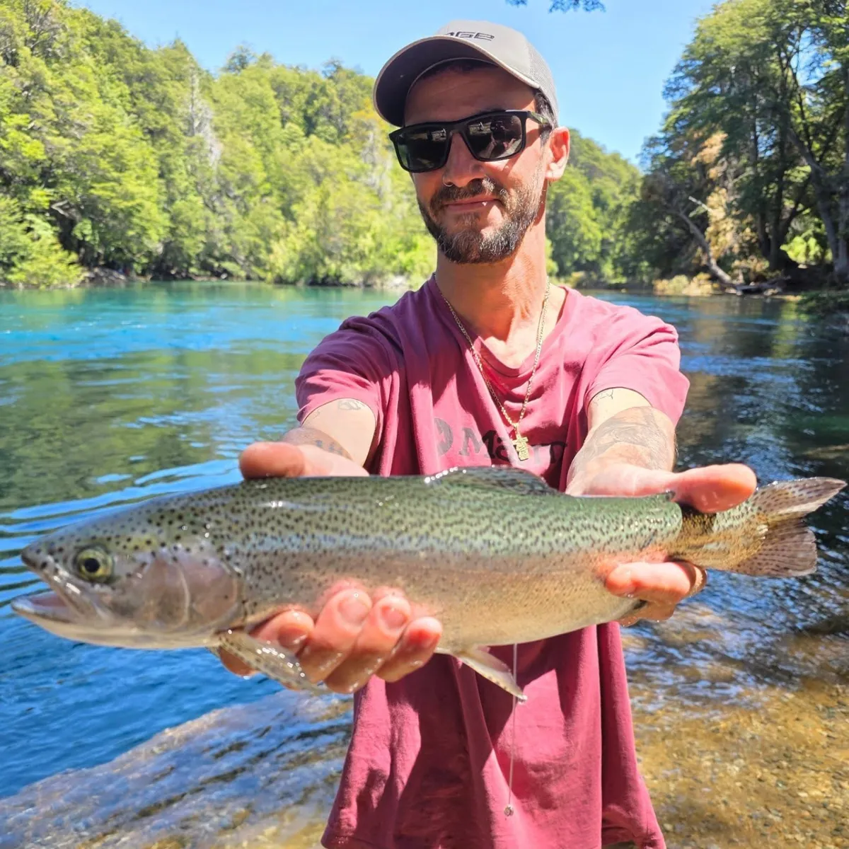 Trucha marrón junto al puente del Río Manso