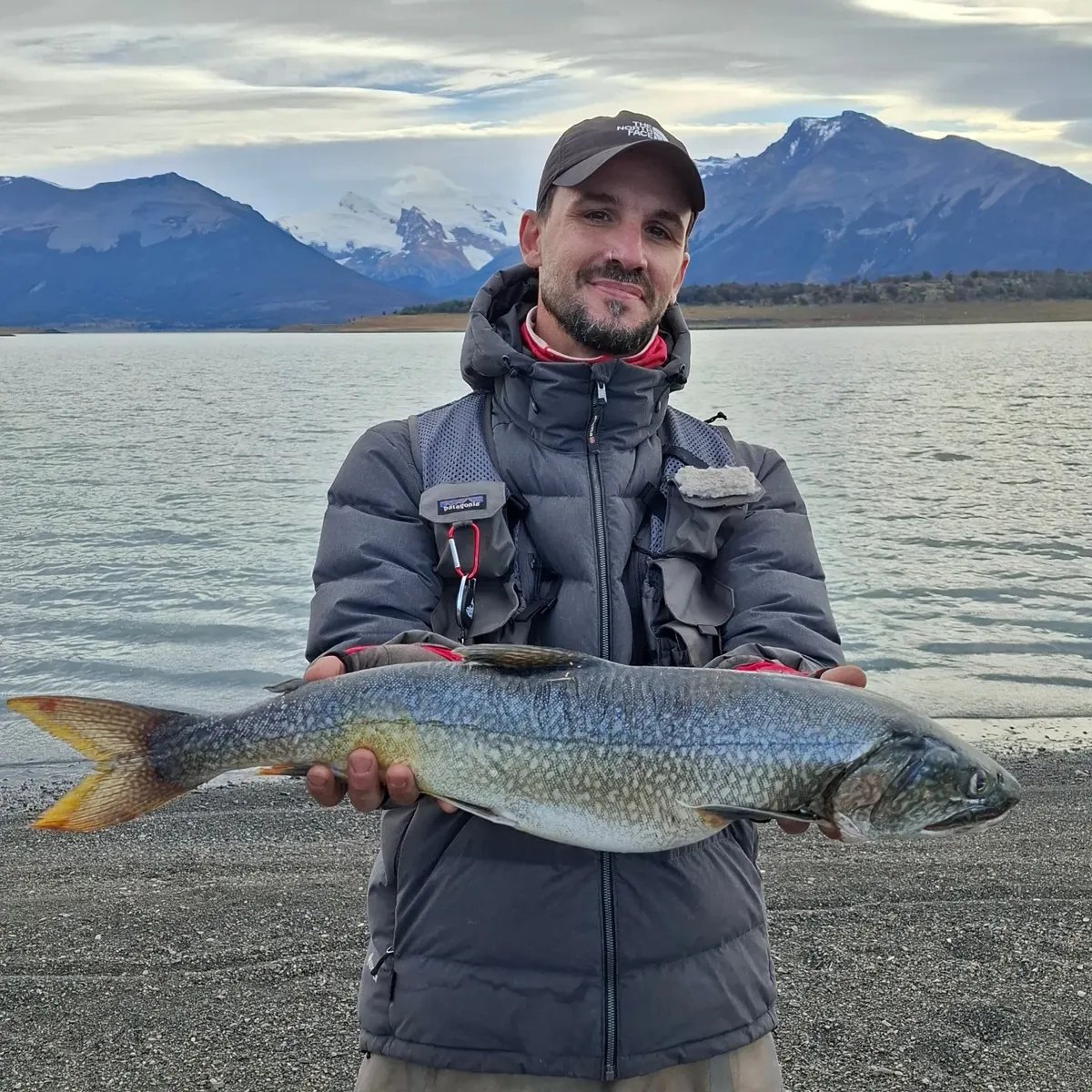 Trucha de lago en El Calafate con los Andes de fondo