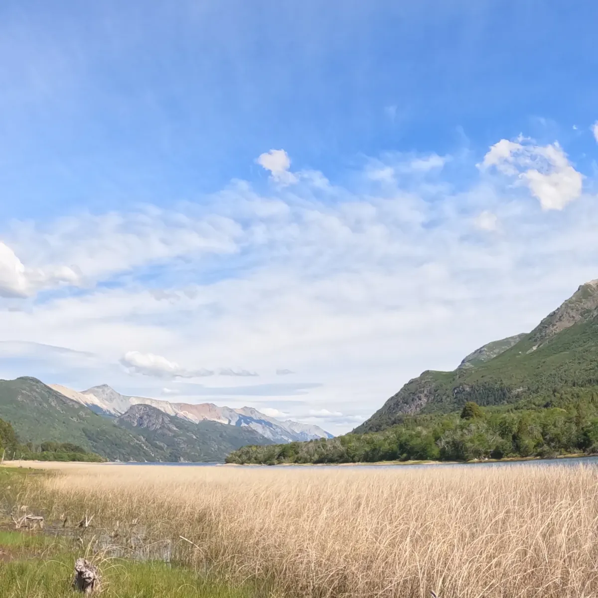 Pastizal y cielo patagónico camino al lago