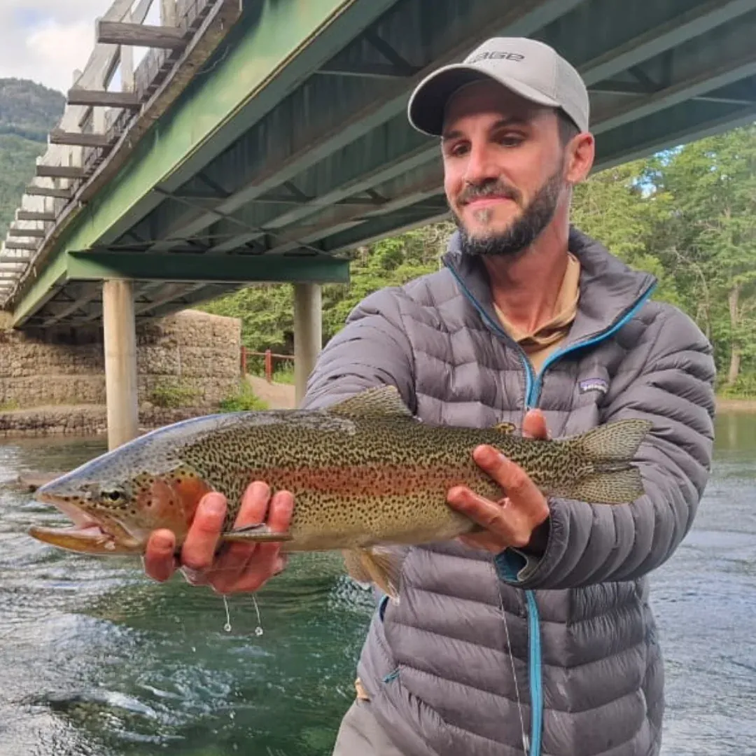 Pesca bajo un puente, modalidad de pesca urbana